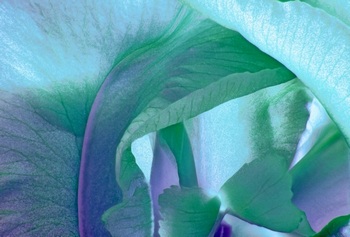 F 015B